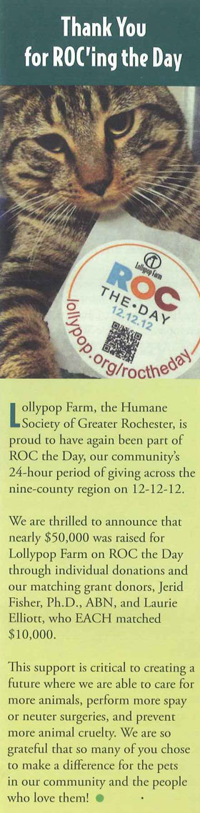 Jerid Fisher - Matching Donation for ROC the Day 2012 for Lollypop farms.
